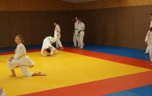 DSC00121 (Copier).JPG