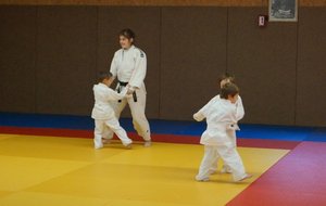 DSC00623 (Copier).JPG