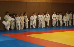 DSC00664 (Copier).JPG