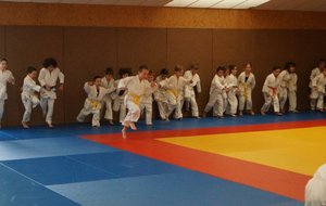 DSC00666 (Copier).JPG