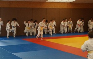 DSC00667 (Copier).JPG