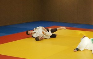 DSC01285 (Copier).JPG