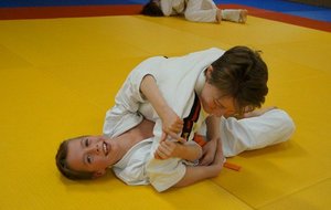 DSC01288 (Copier).JPG