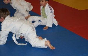 DSC01348%2520%2528Copier%2529.JPG