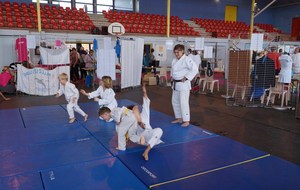 5412f6476ddf0_DSC08660Copier.JPG