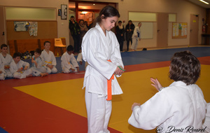5a64a07ddfa8c_DSC0631.JPG