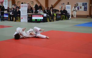 5a703ee2384f2_DSC9408.jpg