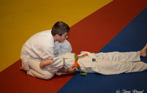 5c55905d7ad39_DSC1006.JPG