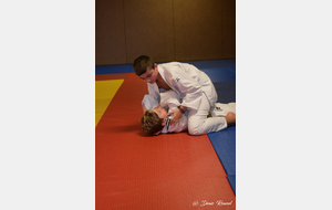 5c5590b36be0a_DSC1007.JPG