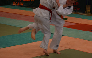 5cab1c9f2bd93_DSC0436.JPG