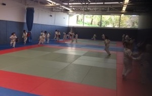 5cb623961c4ab_IMG30431.jpg