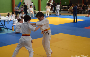 5ce9e1052ea74_DSC0646.JPG