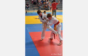 5ce9e123872bd_DSC0647.JPG