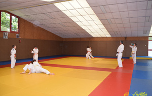 5cf82166bcbf2_DSC0725.JPG