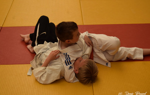 5cfca480919fa_DSC0787.JPG
