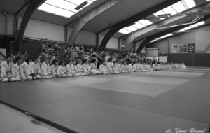 5d18779307138_DSC0822.JPG