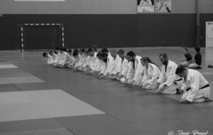 5d1877b0bda14_DSC0823.JPG