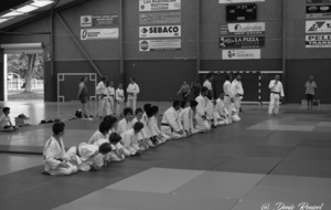 5d18a79109127_DSC0884.JPG