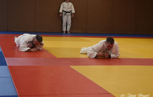 5d74c1e64f525_DSC0140.JPG