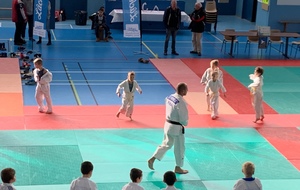 5dc7db5000748_photo.jpg