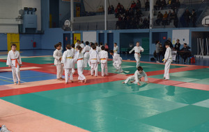 5dca60dbd154a_DSC0033.JPG