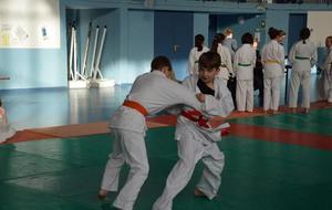 5dca65e2af2a1_DSC0709.jpg