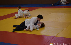 5df54f51f13c9_DSC0048.JPG