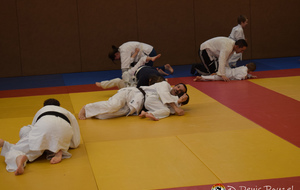 5df54fb239209_DSC0050.JPG