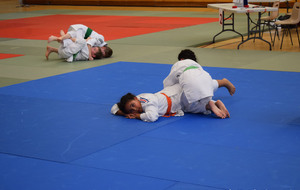 5e0126117424b_DSC0291.JPG