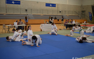 5e0126212c499_DSC0292.JPG