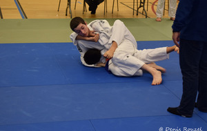5e01b43edba7a_DSC0334.JPG