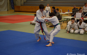 5e01b44eb50be_DSC0335.JPG