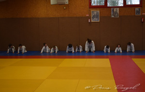 5e2cb22dcded0_DSC0003.JPG