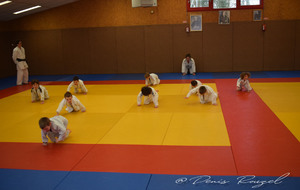 5e2cb2377029b_DSC0004.JPG