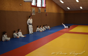 5e2cb2407834a_DSC0005.JPG