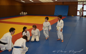 5e2cc07a2a38f_DSC0029.JPG