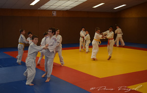5e2d2a62c21dc_DSC0058.JPG