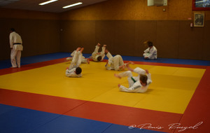 5e2d410215163_DSC0098.JPG