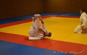 5e2d411222775_DSC0099.JPG