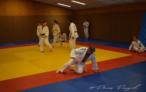 5e2d412096957_DSC0100.JPG
