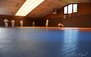 5f0a140c100a2_DSC0005.JPG