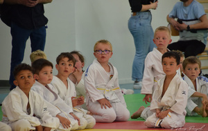 6279500d97d94_DSC0329.JPG