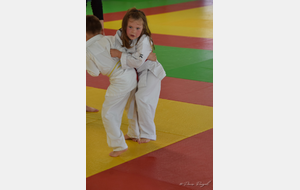627950237472d_DSC0331.JPG
