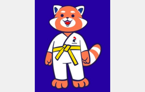Stage Judo 6 / 12 ans - Concarneau