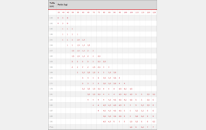 YUSHO IJF Grain de riz 750g